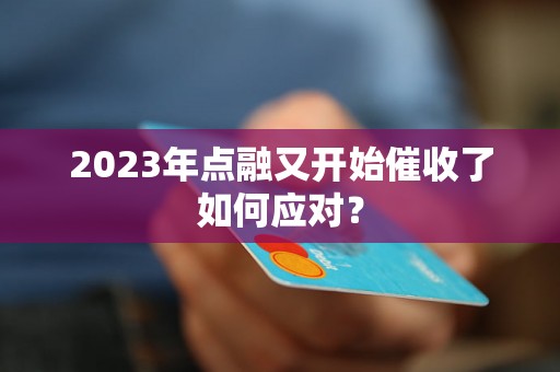 2023年点融又开始催收了如何应对？