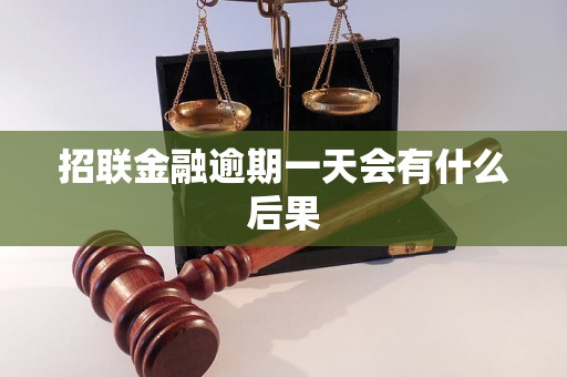 招联金融逾期一天会有什么后果