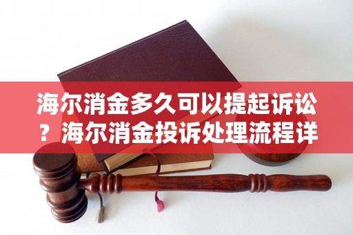 海尔消金多久可以提起诉讼？海尔消金投诉处理流程详解