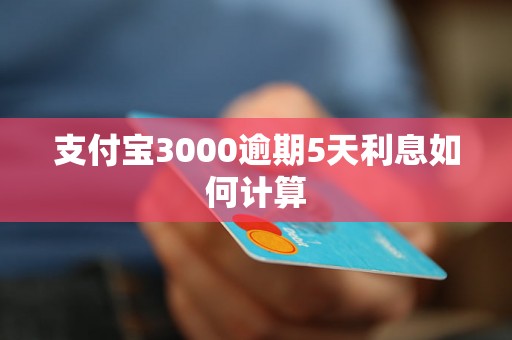 支付宝3000逾期5天利息如何计算