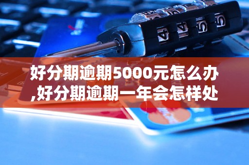 好分期逾期5000元怎么办,好分期逾期一年会怎样处理