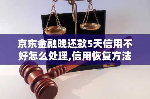 京东金融晚还款5天信用不好怎么处理,信用恢复方法分享