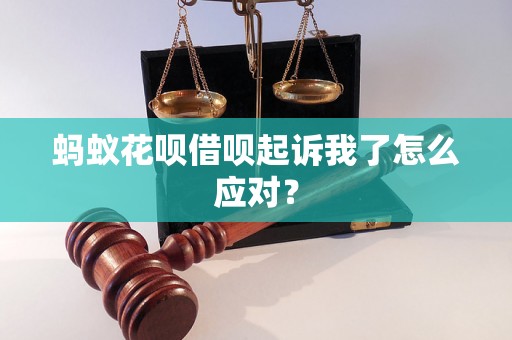 蚂蚁花呗借呗起诉我了怎么应对？