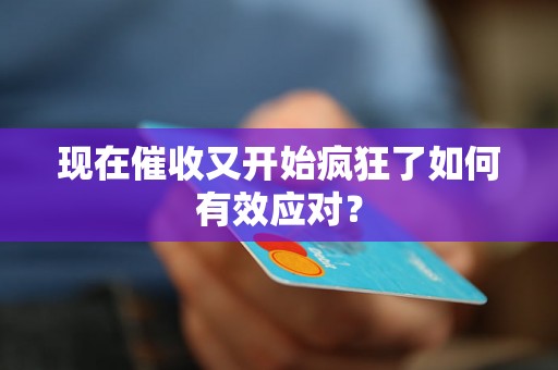 现在催收又开始疯狂了如何有效应对？