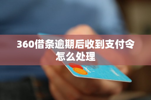 360借条逾期后收到支付令怎么处理