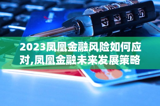 2023凤凰金融风险如何应对,凤凰金融未来发展策略分析