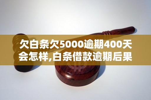 欠白条欠5000逾期400天会怎样,白条借款逾期后果及解决办法