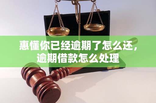 惠懂你已经逾期了怎么还，逾期借款怎么处理