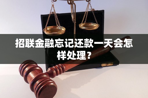 招联金融忘记还款一天会怎样处理？