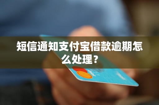 短信通知支付宝借款逾期怎么处理？