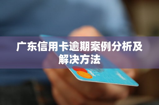 广东信用卡逾期案例分析及解决方法