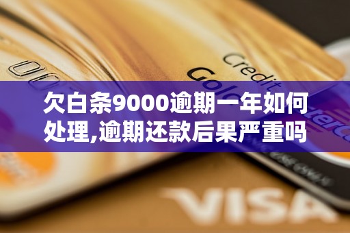 欠白条9000逾期一年如何处理,逾期还款后果严重吗