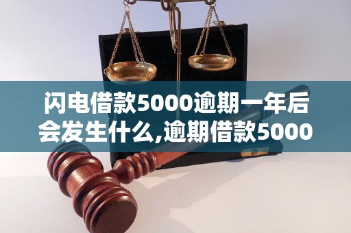 闪电借款5000逾期一年后会发生什么,逾期借款5000处理方式建议