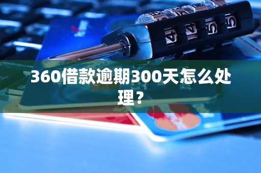 360借款逾期300天怎么处理？