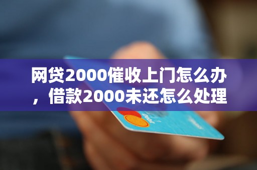 网贷2000催收上门怎么办，借款2000未还怎么处理