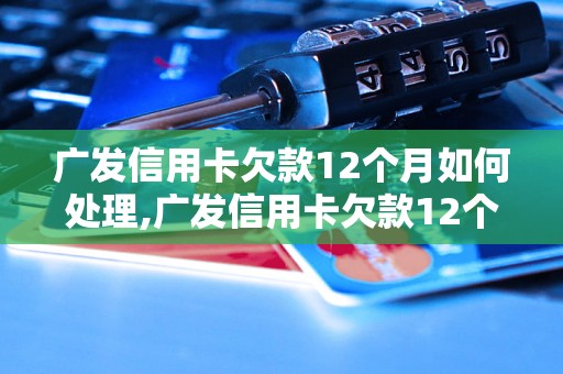 广发信用卡欠款12个月如何处理,广发信用卡欠款12个月后会发生什么？