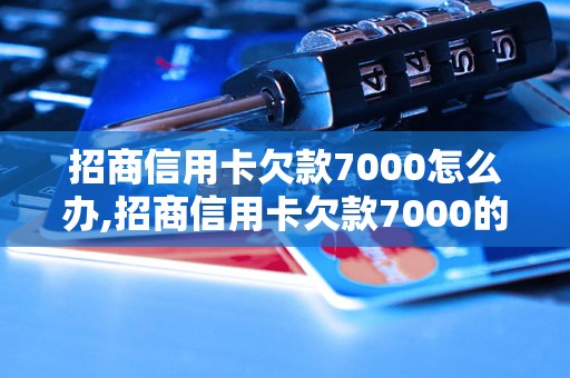 招商信用卡欠款7000怎么办,招商信用卡欠款7000的还款方式