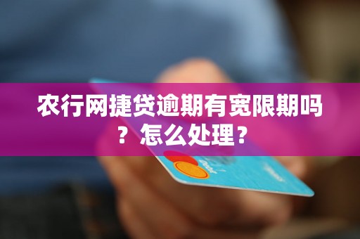 农行网捷贷逾期有宽限期吗？怎么处理？