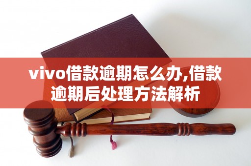 vivo借款逾期怎么办,借款逾期后处理方法解析