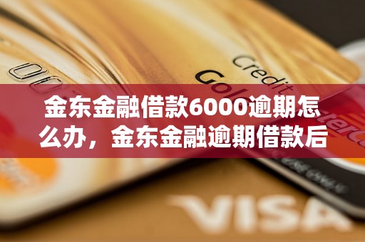 金东金融借款6000逾期怎么办，金东金融逾期借款后果严重吗