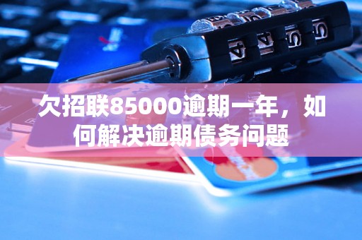 欠招联85000逾期一年，如何解决逾期债务问题