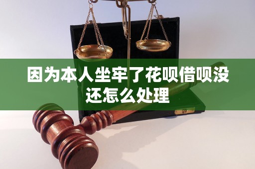 因为本人坐牢了花呗借呗没还怎么处理