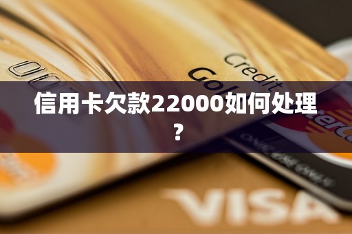 信用卡欠款22000如何处理？