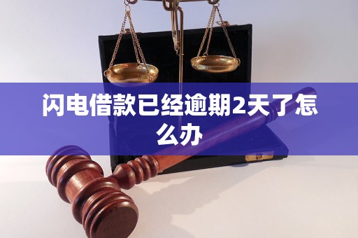 闪电借款已经逾期2天了怎么办