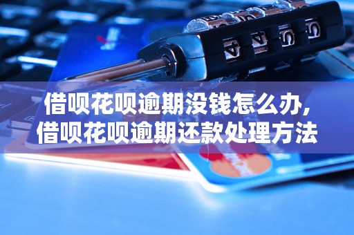 借呗花呗逾期没钱怎么办,借呗花呗逾期还款处理方法