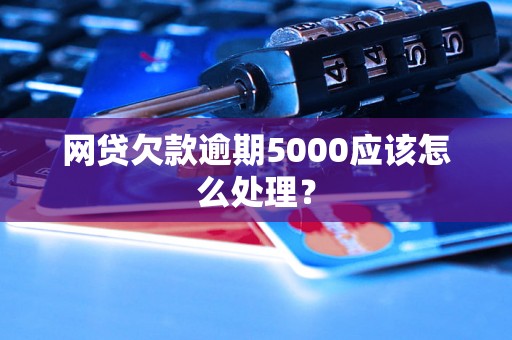 网贷欠款逾期5000应该怎么处理？