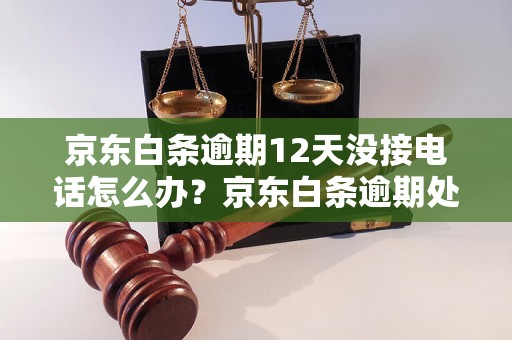 京东白条逾期12天没接电话怎么办？京东白条逾期处理流程详解