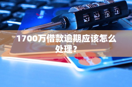 1700万借款逾期应该怎么处理？