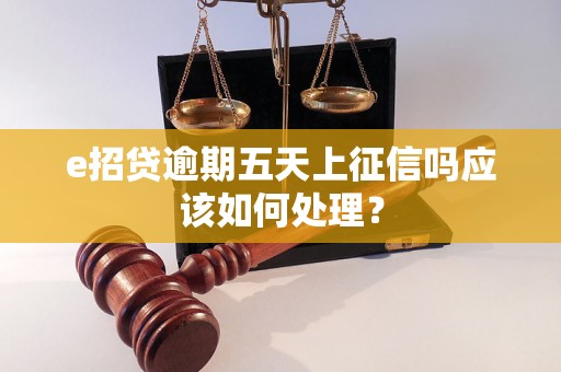 e招贷逾期五天上征信吗应该如何处理？