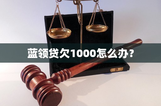 蓝领贷欠1000怎么办？