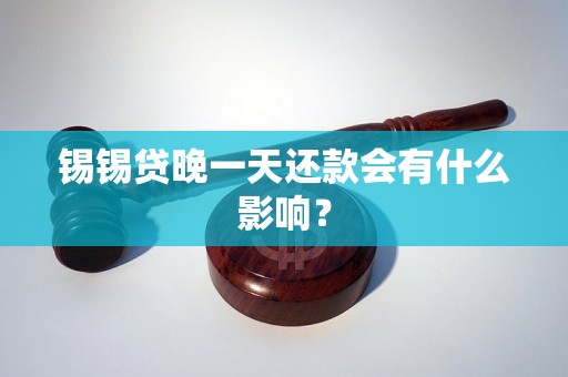 锡锡贷晚一天还款会有什么影响？