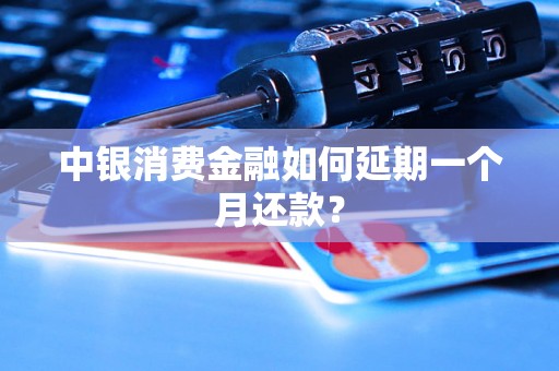 中银消费金融如何延期一个月还款？