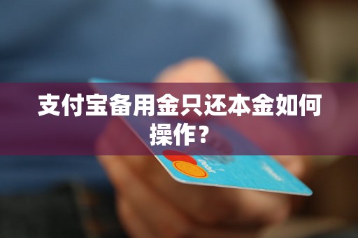 支付宝备用金只还本金如何操作？