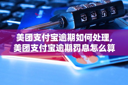 美团支付宝逾期如何处理,美团支付宝逾期罚息怎么算