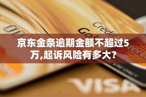 京东金条逾期金额不超过5万,起诉风险有多大？