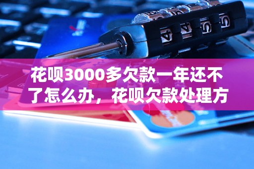 花呗3000多欠款一年还不了怎么办，花呗欠款处理方法分享