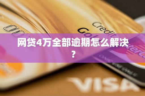 网贷4万全部逾期怎么解决？