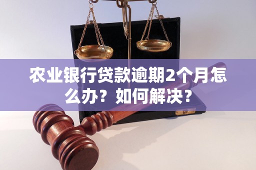 农业银行贷款逾期2个月怎么办？如何解决？