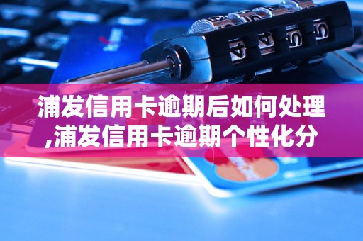 浦发信用卡逾期后如何处理,浦发信用卡逾期个性化分期方案