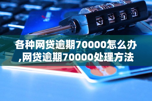 各种网贷逾期70000怎么办,网贷逾期70000处理方法指南