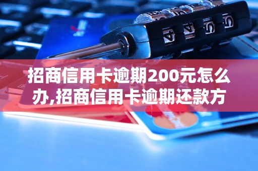 招商信用卡逾期200元怎么办,招商信用卡逾期还款方式及注意事项