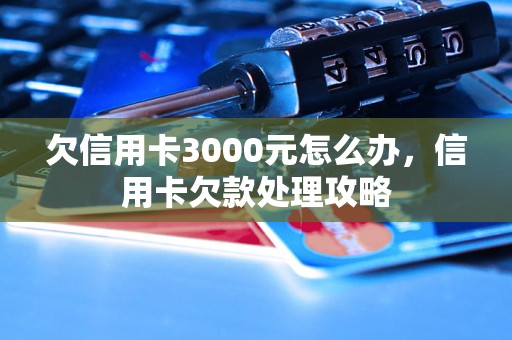 欠信用卡3000元怎么办，信用卡欠款处理攻略