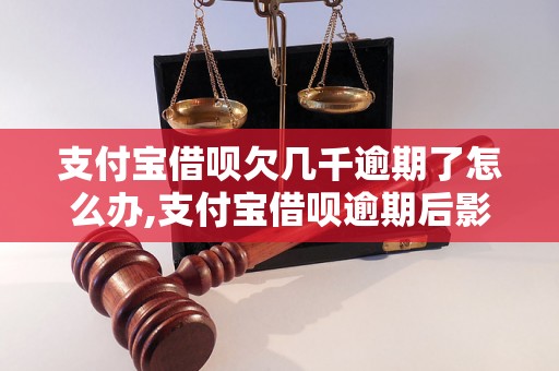 支付宝借呗欠几千逾期了怎么办,支付宝借呗逾期后影响及解决方法