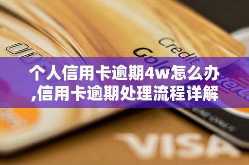 个人信用卡逾期4w怎么办,信用卡逾期处理流程详解