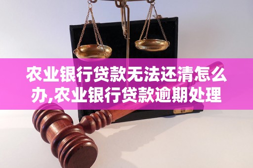 农业银行贷款无法还清怎么办,农业银行贷款逾期处理方式