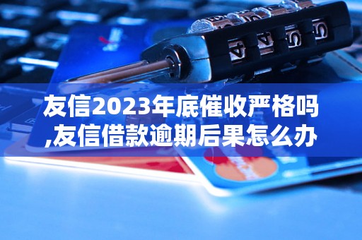 友信2023年底催收严格吗,友信借款逾期后果怎么办